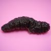 Teripang Keling (Holothuria atra) – Lollyfish / Black Teatfish Premium Indonesia